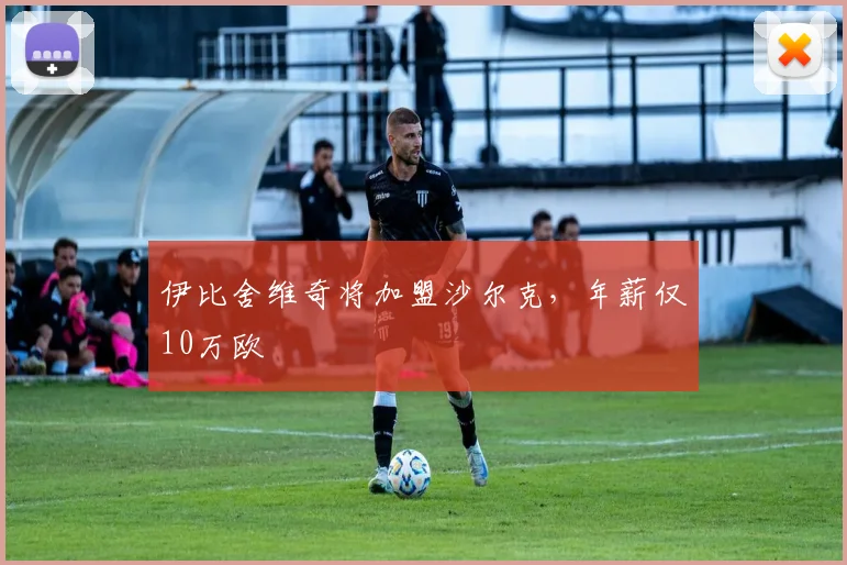 伊比舍维奇将加盟沙尔克，年薪仅10万欧