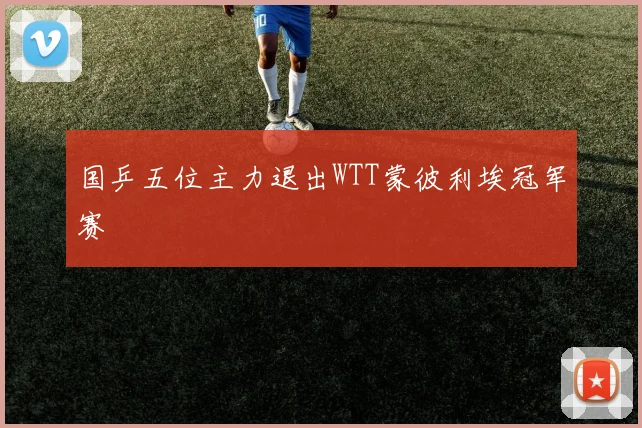 国乒五位主力退出WTT蒙彼利埃冠军赛